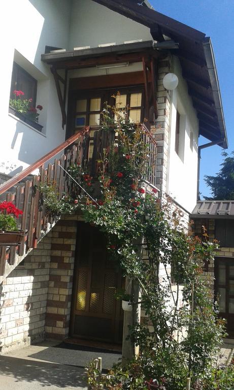 Apartment Bucic Zlatibor Dış mekan fotoğraf